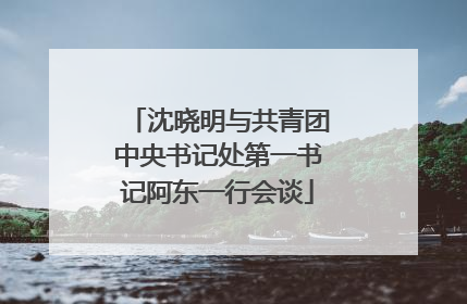 沈晓明与共青团中央书记处第一书记阿东一行会谈