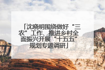 沈晓明围绕做好“三农”工作、推进乡村全面振兴开展“十五五”规划专题调研