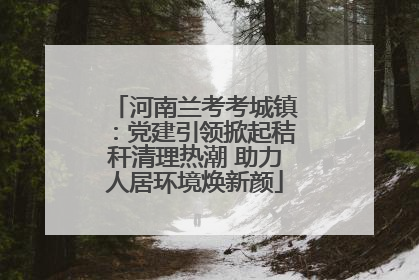 河南兰考考城镇：党建引领掀起秸秆清理热潮 助力人居环境焕新颜