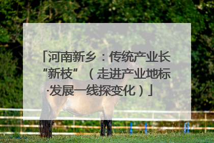 河南新乡：传统产业长“新枝”（走进产业地标·发展一线探变化）