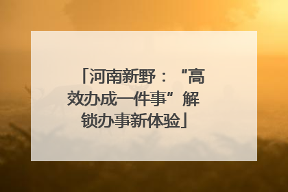 河南新野：“高效办成一件事”解锁办事新体验