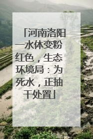 河南洛阳一水体变粉红色，生态环境局：为死水，正抽干处置
