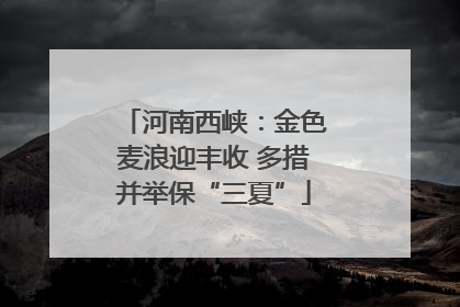 河南西峡：金色麦浪迎丰收 多措并举保“三夏”