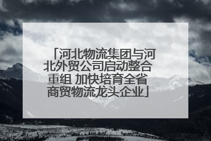 河北物流集团与河北外贸公司启动整合重组 加快培育全省商贸物流龙头企业