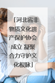 河北省非物质文化遗产保护协会成立 凝聚合力守护文化根脉