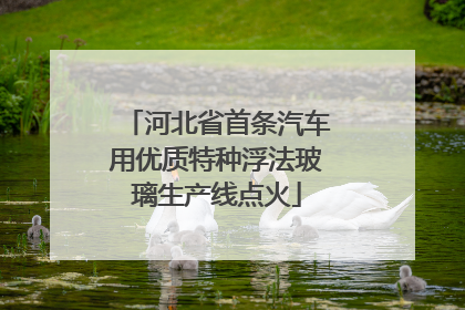 河北省首条汽车用优质特种浮法玻璃生产线点火