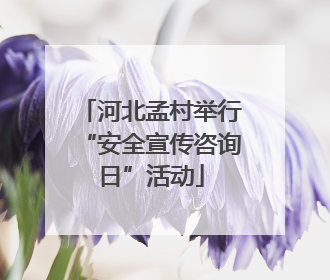 河北孟村举行“安全宣传咨询日”活动