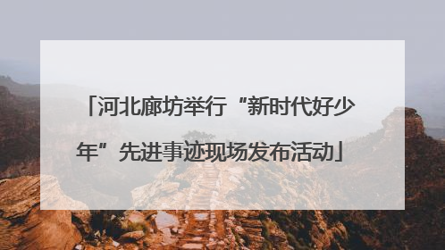 河北廊坊举行“新时代好少年”先进事迹现场发布活动