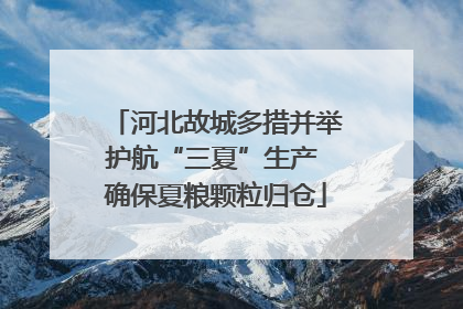 河北故城多措并举护航“三夏”生产 确保夏粮颗粒归仓