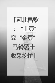 河北昌黎：“土豆”变“金豆” 马铃薯丰收采挖忙