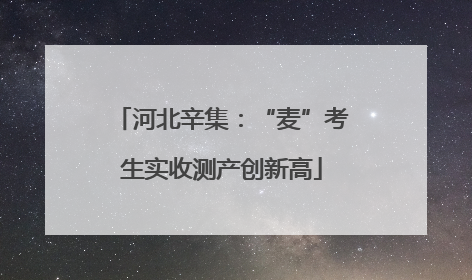 河北辛集：“麦”考生实收测产创新高