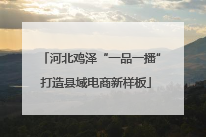 河北鸡泽“一品一播”打造县域电商新样板