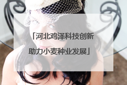河北鸡泽科技创新助力小麦种业发展