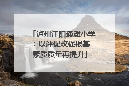 泸州江阳通滩小学：以评促改强根基 素质质量再提升