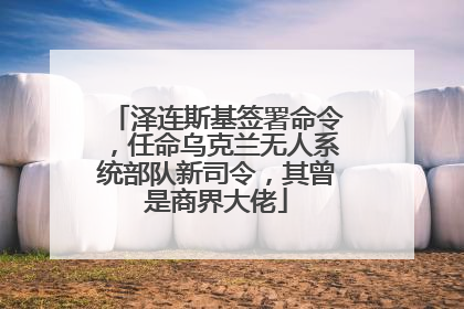 泽连斯基签署命令，任命乌克兰无人系统部队新司令，其曾是商界大佬