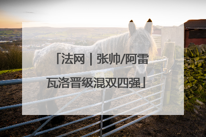 法网｜张帅/阿雷瓦洛晋级混双四强