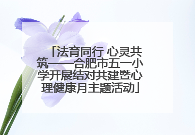法育同行 心灵共筑——合肥市五一小学开展结对共建暨心理健康月主题活动