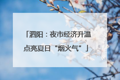 泗阳：夜市经济升温 点亮夏日“烟火气”