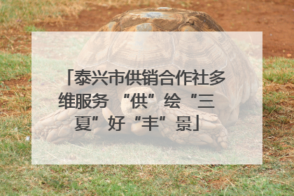 泰兴市供销合作社多维服务 “供”绘“三夏”好“丰”景