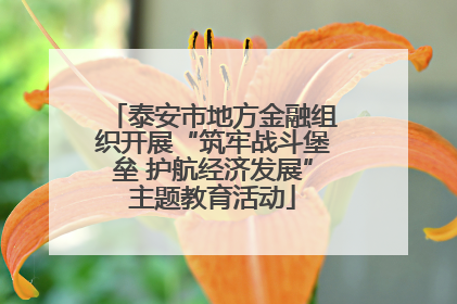 泰安市地方金融组织开展“筑牢战斗堡垒 护航经济发展”主题教育活动