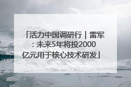 活力中国调研行｜雷军：未来5年将投2000亿元用于核心技术研发