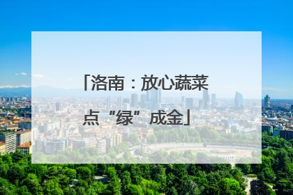 洛南：放心蔬菜点“绿”成金