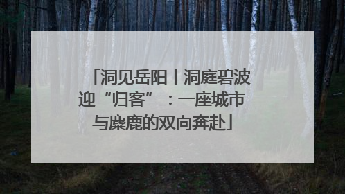 洞见岳阳丨洞庭碧波迎“归客”：一座城市与麋鹿的双向奔赴