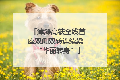 津潍高铁全线首座双侧双转连续梁“华丽转身”