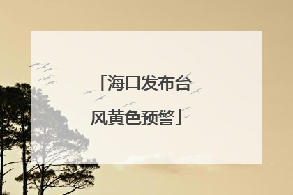 海口发布台风黄色预警