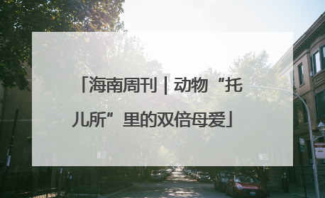 海南周刊｜动物“托儿所”里的双倍母爱