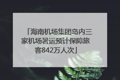 海南机场集团岛内三家机场暑运预计保障旅客842万人次