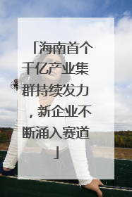 海南首个千亿产业集群持续发力，新企业不断涌入赛道