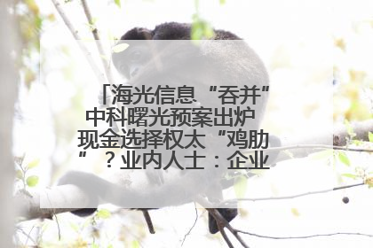 海光信息“吞并”中科曙光预案出炉 现金选择权太“鸡肋”？业内人士：企业不想大量现金流出