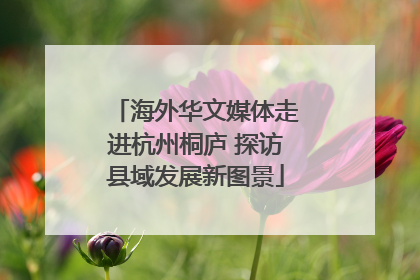 海外华文媒体走进杭州桐庐 探访县域发展新图景
