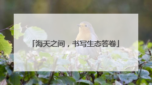 海天之间，书写生态答卷