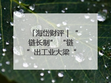 海岱财评｜“链长制” “链”出工业大梁“钢筋铁骨”