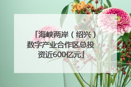 海峡两岸（绍兴）数字产业合作区总投资近600亿元