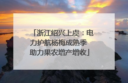 浙江绍兴上虞：电力护航杨梅成熟季 助力果农增产增收