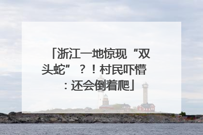 浙江一地惊现“双头蛇”？！村民吓懵：还会倒着爬