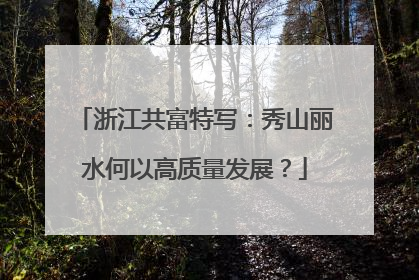 浙江共富特写：秀山丽水何以高质量发展？