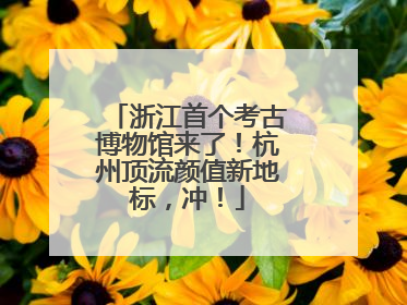 浙江首个考古博物馆来了！杭州顶流颜值新地标，冲！
