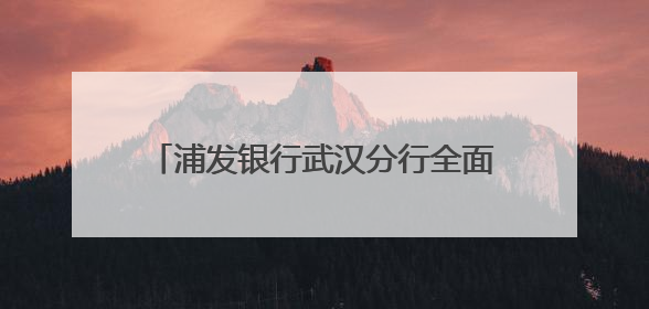 浦发银行武汉分行全面开展2025年普及金融知识万里行宣传活动