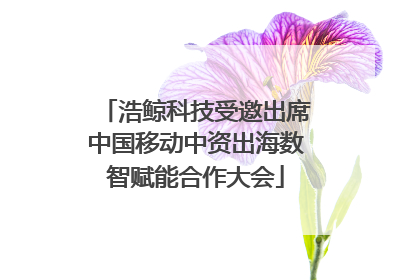 浩鲸科技受邀出席中国移动中资出海数智赋能合作大会