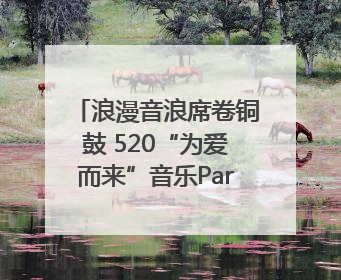 浪漫音浪席卷铜鼓 520“为爱而来”音乐Party甜蜜收官