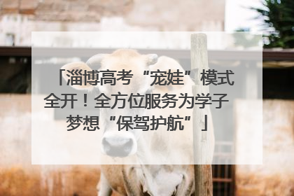 淄博高考“宠娃”模式全开！全方位服务为学子梦想“保驾护航”