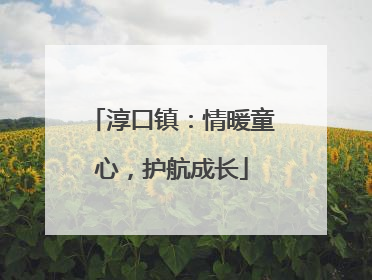 淳口镇：情暖童心，护航成长