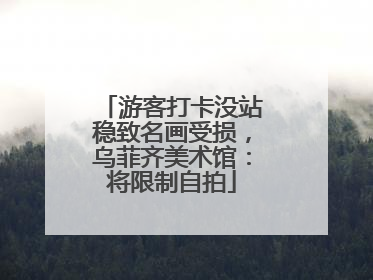 游客打卡没站稳致名画受损，乌菲齐美术馆：将限制自拍