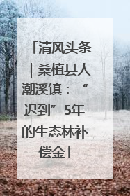 清风头条｜桑植县人潮溪镇：“迟到”5年的生态林补偿金