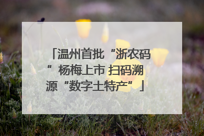 温州首批“浙农码”杨梅上市 扫码溯源“数字土特产”