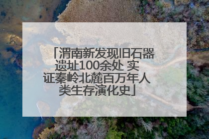 渭南新发现旧石器遗址100余处 实证秦岭北麓百万年人类生存演化史